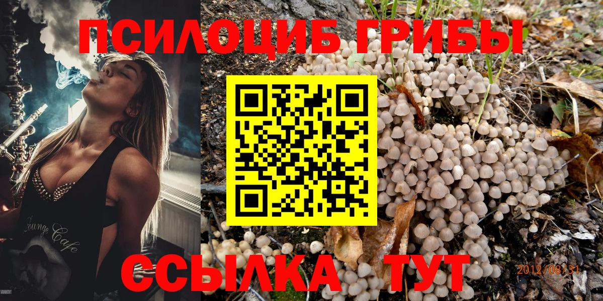 Костомукша  Псилоцибиновые грибы Psilocybe  Галлюциногенные грибы GOLDEN TEACHER  Вход с VPN 