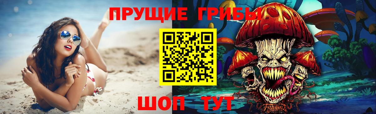 Галлюциногенные грибы Psilocybine cubensis Костомукша